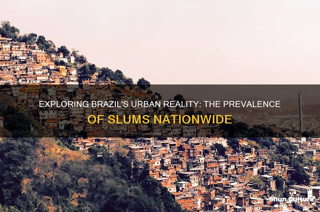 how many slums are there in the brazil