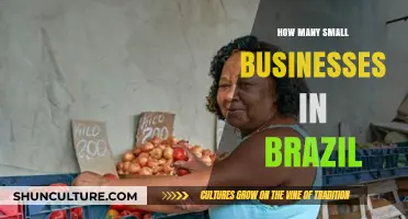 Exploring Brazil's Small Business Landscape: Numbers and Insights Revealed