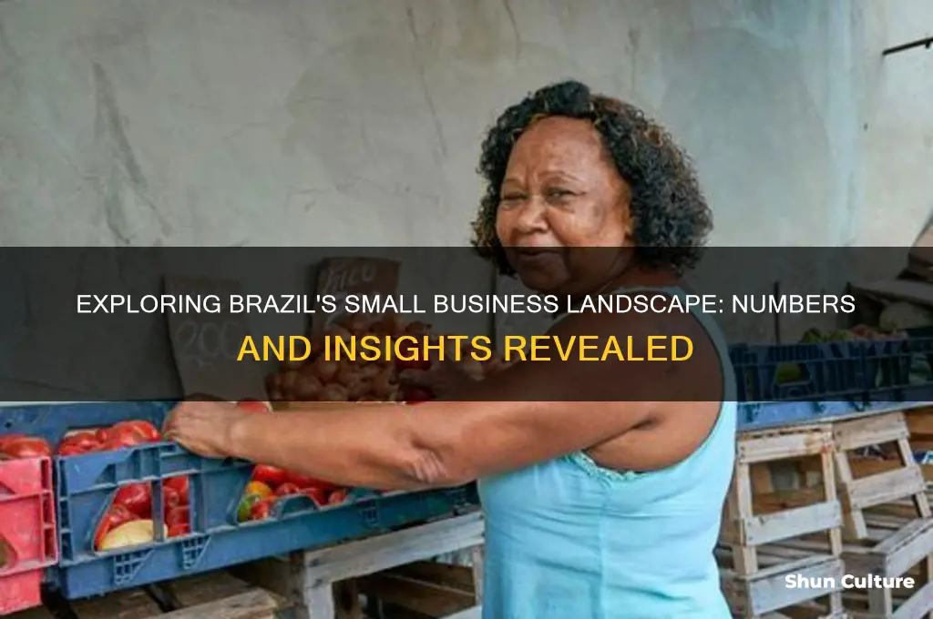 how many small businesses in brazil