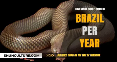 Annual Snake Bite Incidents in Brazil: A Startling Reality