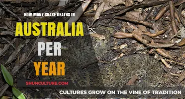 Annual Snake-Related Fatalities in Australia: A Closer Look at the Data