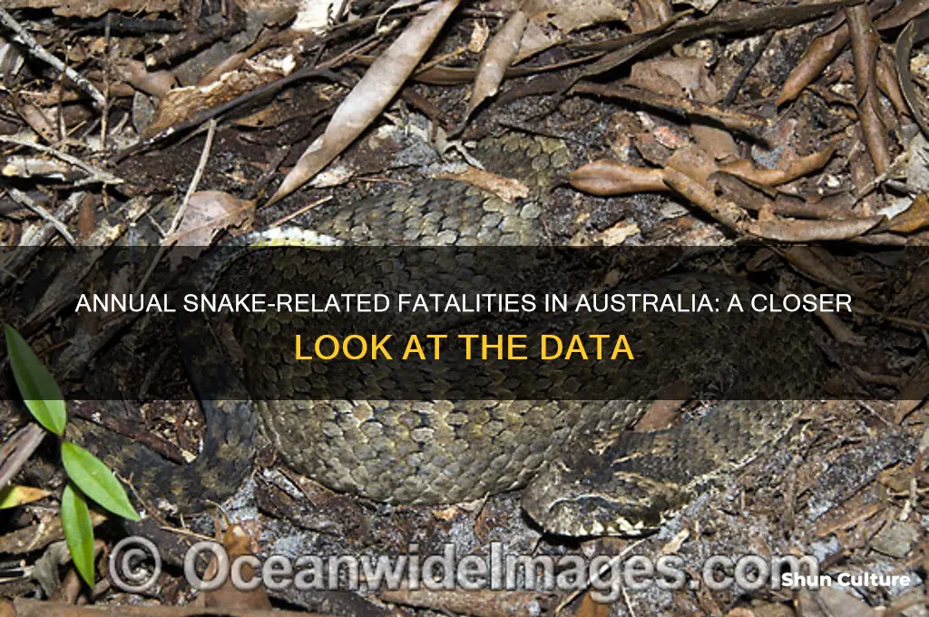 how many snake deaths in australia per year