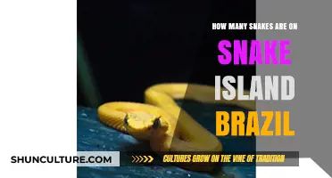 Unveiling the Serpent Secrets of Brazil's Infamous Snake Island