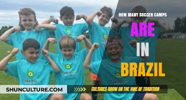Exploring the Abundance of Soccer Camps in Brazil