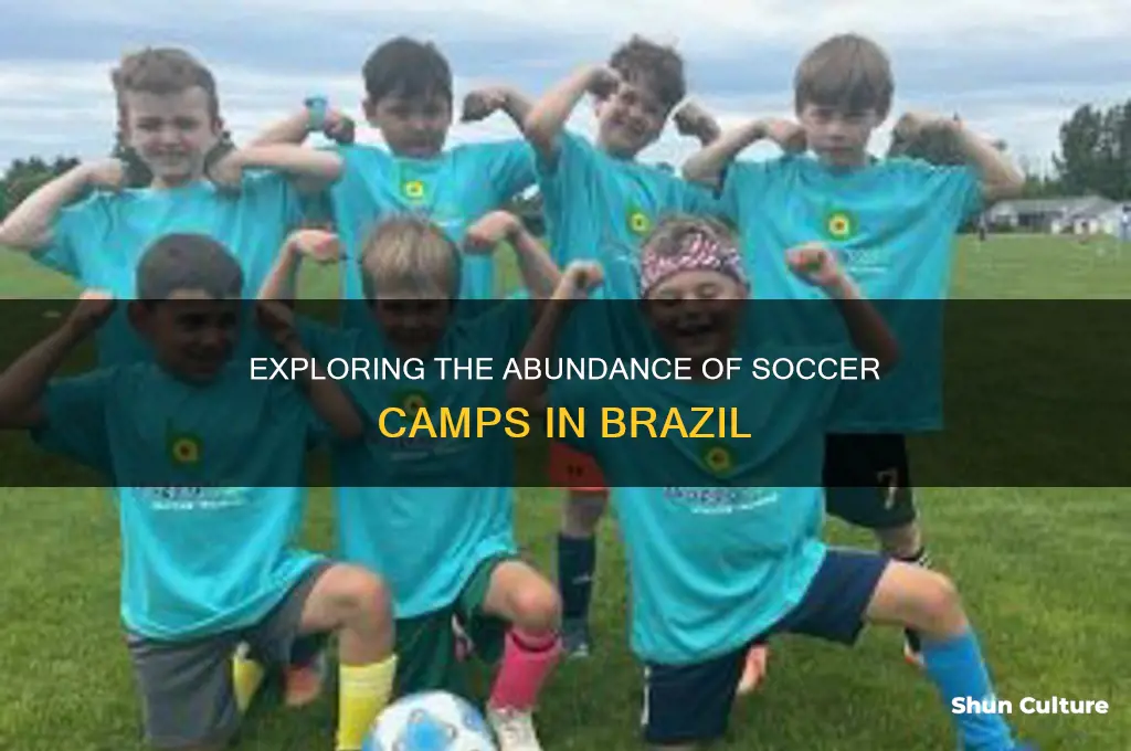 how many soccer camps are in brazil