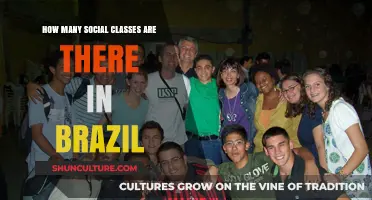 Exploring Brazil's Social Stratification: Understanding the Diverse Class Structure