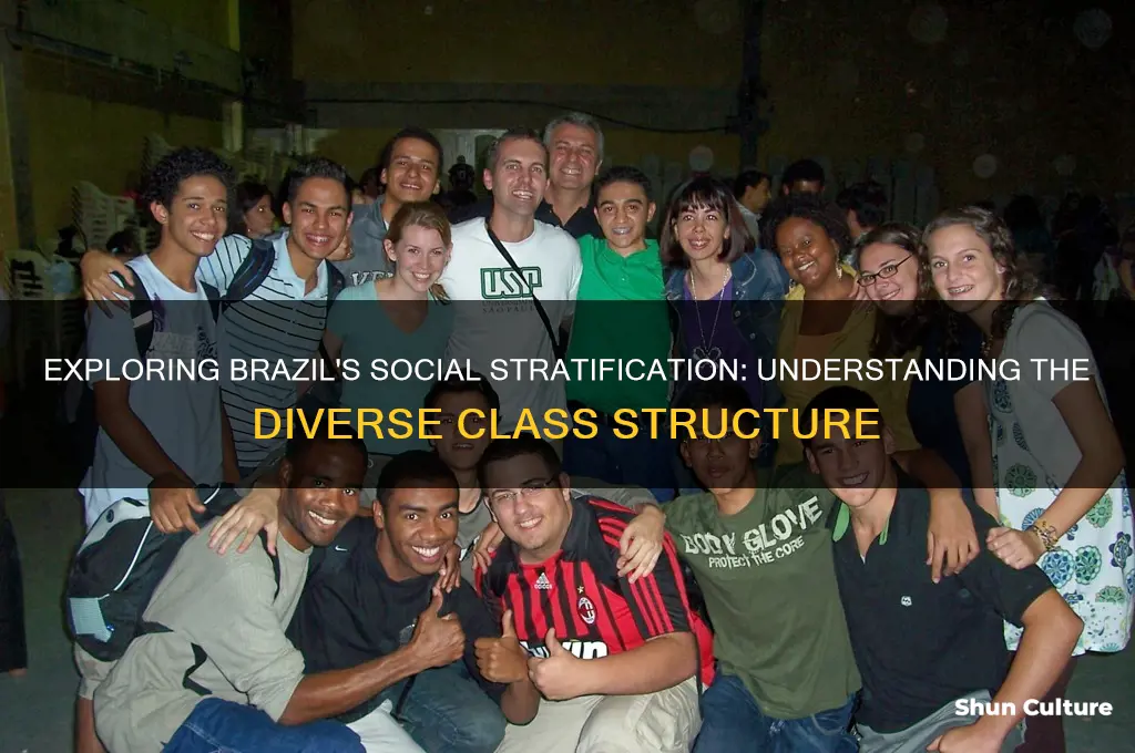how many social classes are there in brazil