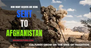 Afghan Reinforcements: US Troop Numbers Surge