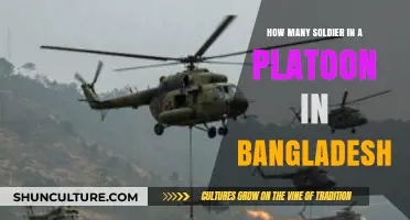Understanding Bangladesh Army Platoon Structure: Soldier Count Explained