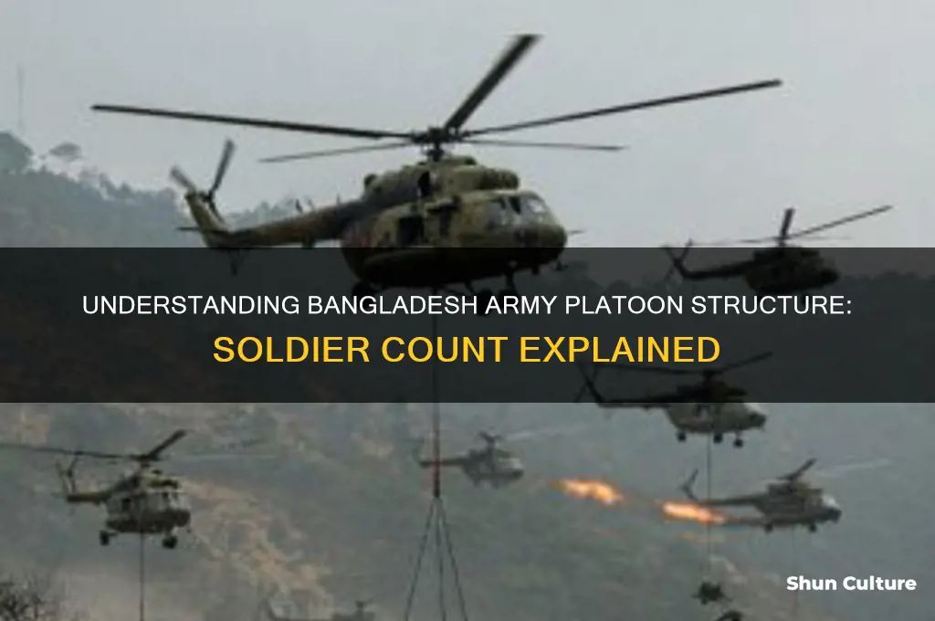 how many soldier in a platoon in bangladesh