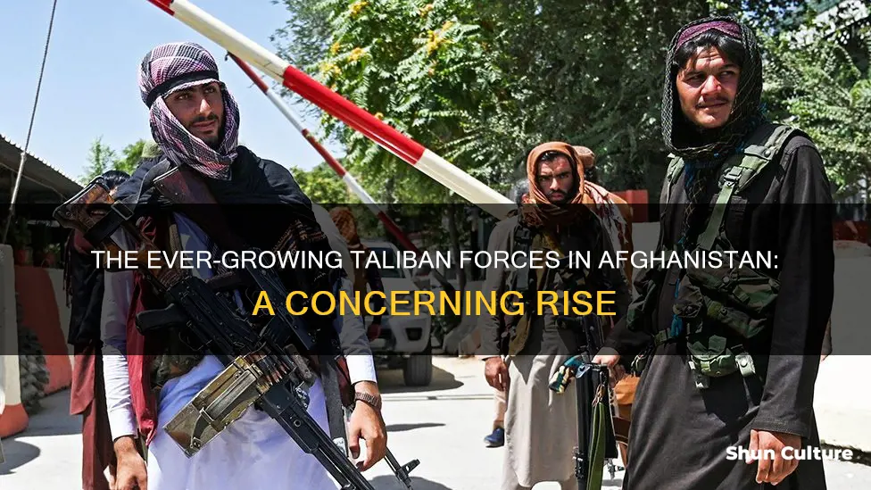 how many soldiers are in the taliban in afghanistan