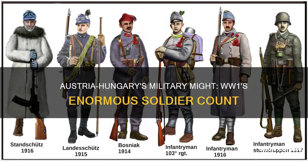 how many soldiers did austria hungary have in ww1