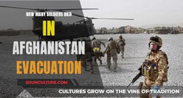 The Human Cost of the Afghanistan Evacuation: Remembering the Fallen