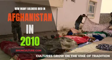 Remembering the Fallen: Afghanistan's Deadly Toll in 2010