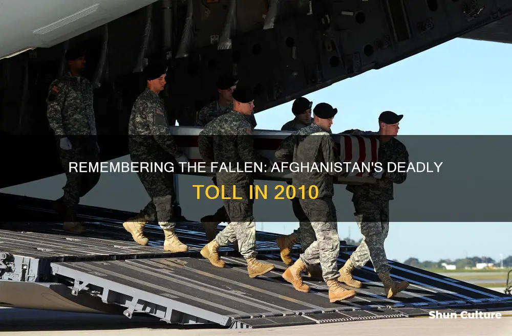 how many soldiers died in afghanistan in 2010