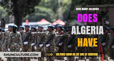 Algeria's Military Strength: Unveiling the Size of Its Armed Forces