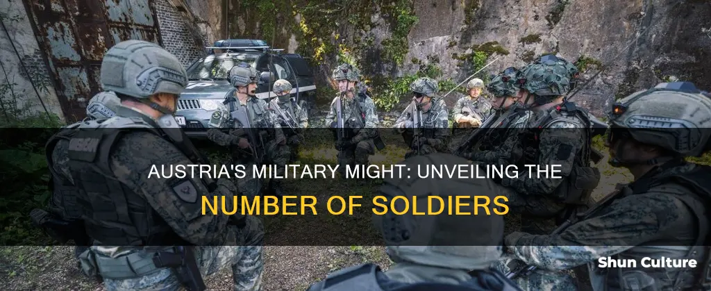 how many soldiers does austria have