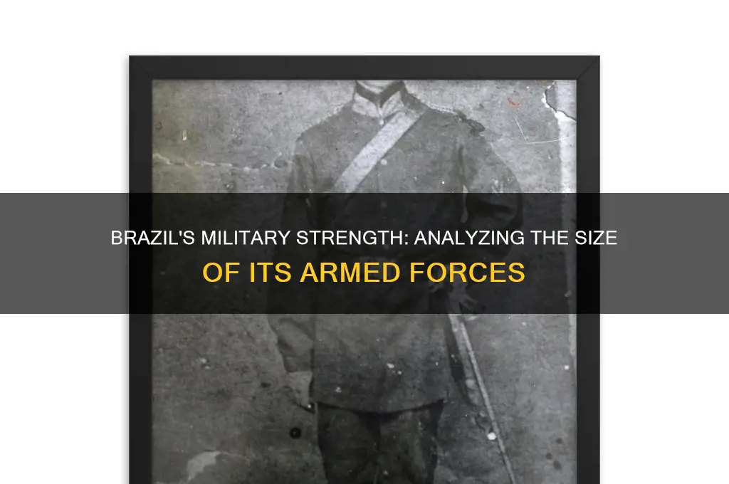 how many soldiers does brazil have