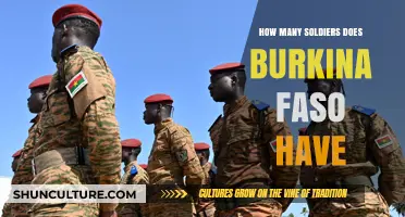Exploring Burkina Faso's Military Strength: A Comprehensive Overview