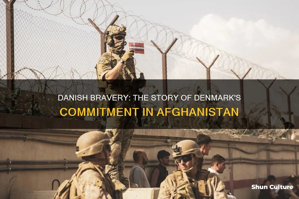 how many soldiers from denmark fought in afghanistan