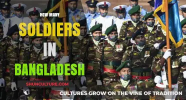 Exploring Bangladesh's Military Strength: Soldier Count and Defense Insights