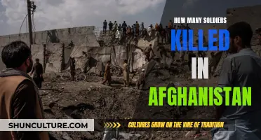 The Human Cost of War: Reflecting on the Lives Lost in Afghanistan