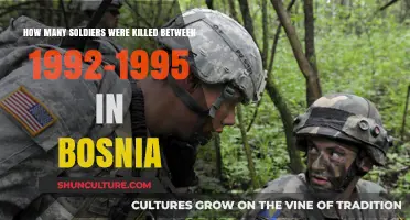 Bosnia War Casualties: Soldier Deaths from 1992 to 1995