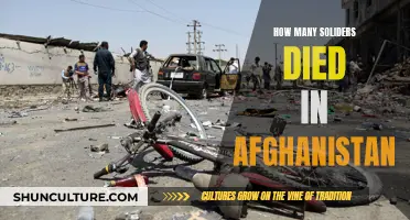 Afghan Battlefield Casualties: Remembering the Fallen