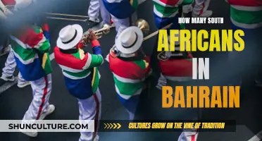 South Africans in Bahrain: A Thriving Community