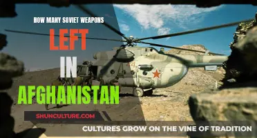 Weapons Cache: The Soviet Legacy in Afghanistan