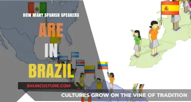 Spanish Speakers in Brazil: Unveiling the Surprising Linguistic Presence