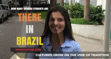 Spanish Language Learners in Brazil: Uncovering the Growing Student Population