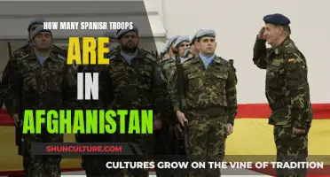 Spanish Troop Presence in Afghanistan: A Critical Number