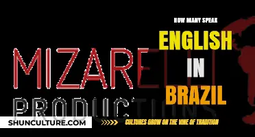 English Proficiency in Brazil: How Many Brazilians Speak English?