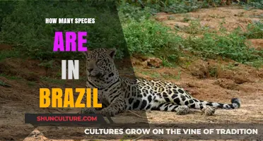 Exploring Brazil's Biodiversity: Unveiling the Countless Species Within