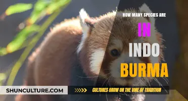 Exploring the Rich Biodiversity of the Indo-Burma Region