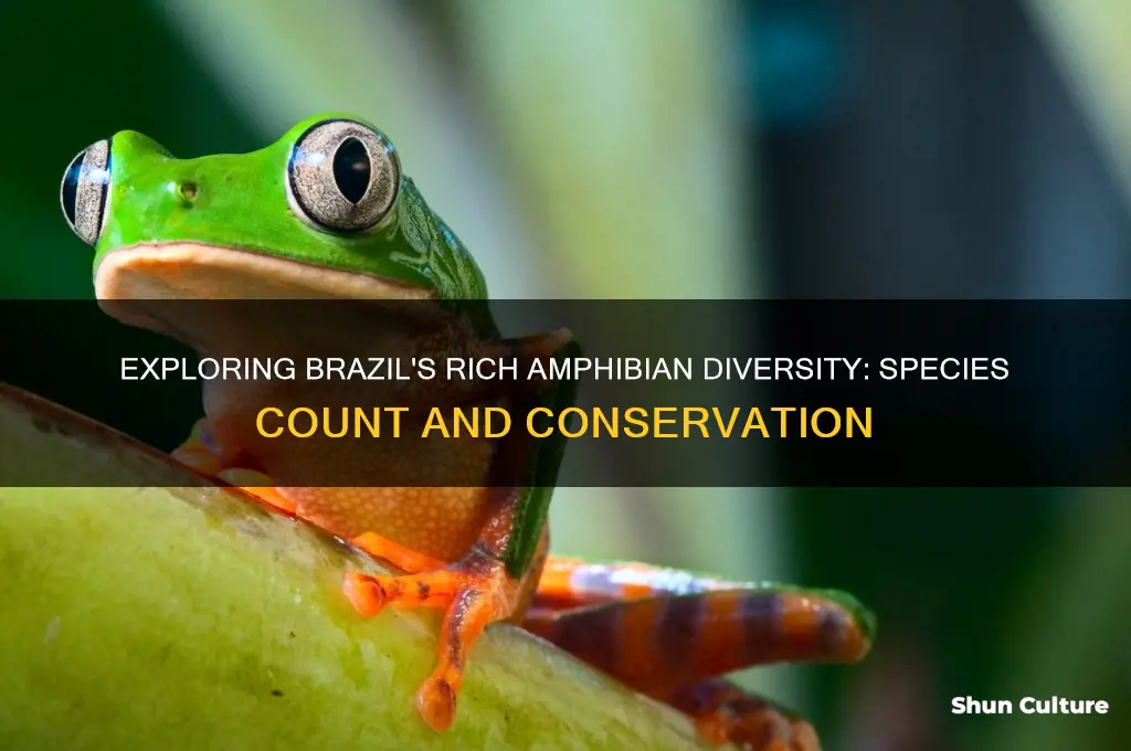 how many species of amphibinas in brazil