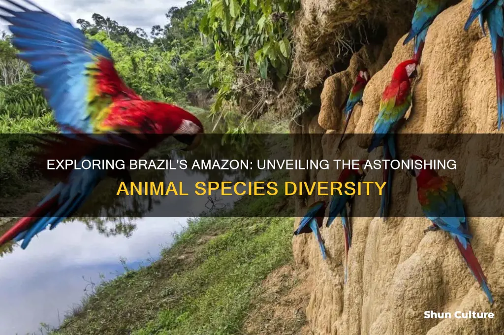 how many species of animals in brazils amazon