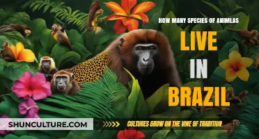Exploring Brazil's Biodiversity: Countless Animal Species Call It Home