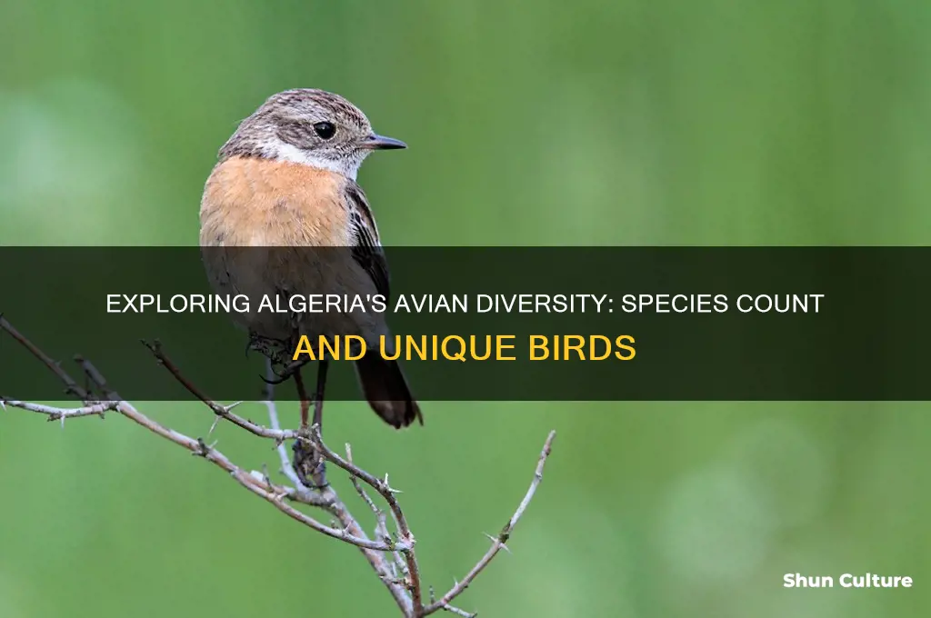 how many species of birds does algeria have