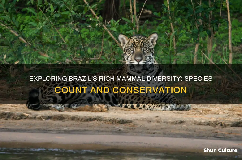 how many species of mammals are there in brazil