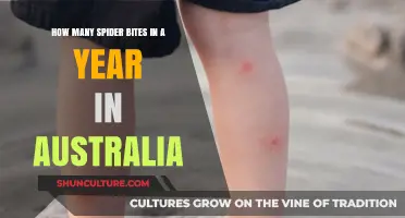 Annual Spider Bite Statistics: Australia's Surprising Figures Revealed