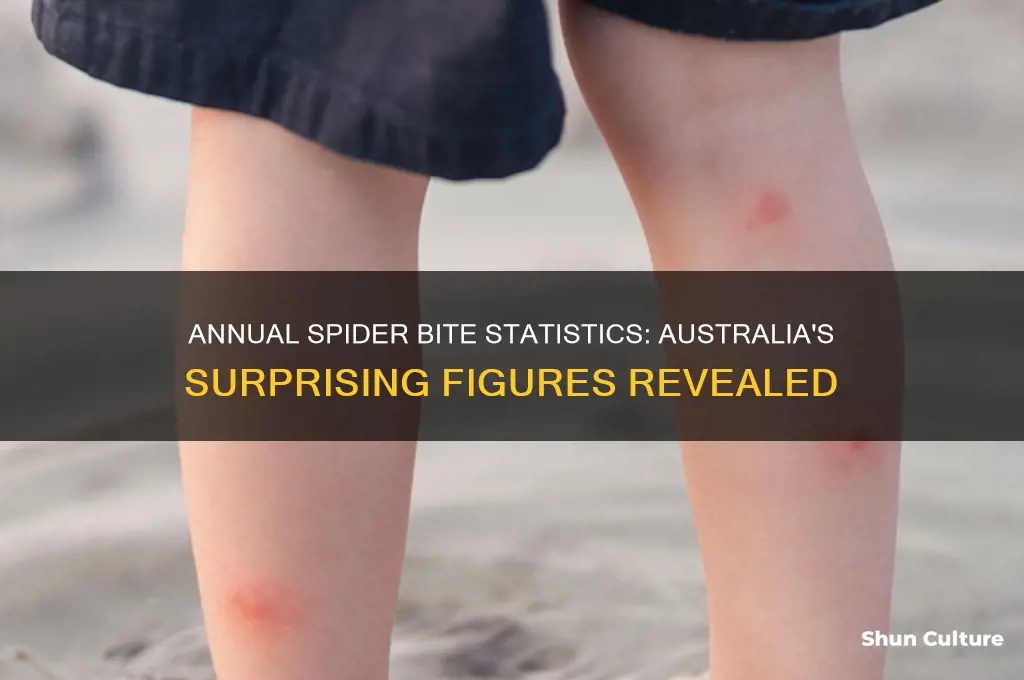 how many spider bites in a year in australia