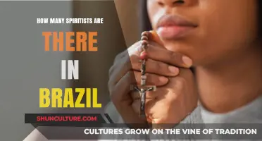 Exploring Brazil's Spiritist Population: A Comprehensive Demographic Overview