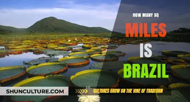 Exploring Brazil's Vast Land Area: How Many Square Miles?