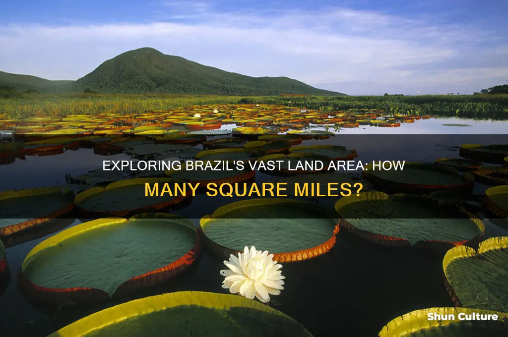 how many sq miles is brazil