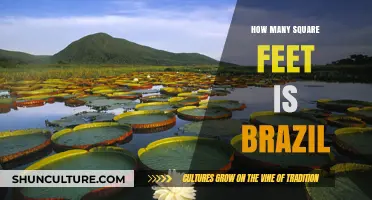 Exploring Brazil's Land Area: How Many Square Feet Does It Cover?
