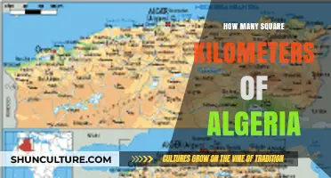 Exploring Algeria's Vast Territory: Square Kilometers Unveiled