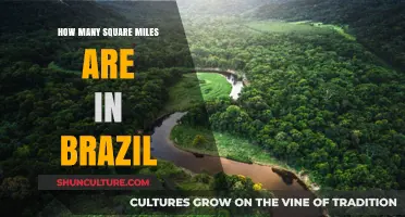 Exploring Brazil's Vastness: Unveiling Its Square Mileage and Geographic Scale