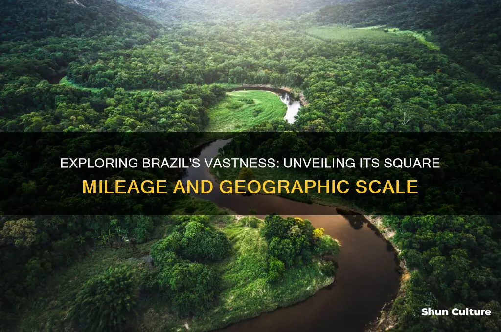 how many square miles are in brazil